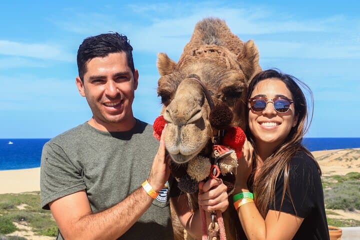 Cabo Camel Ride on El Migriño Beach — 2‑Hour Camel Interaction, Tequila Tasting & Lunch photo 3