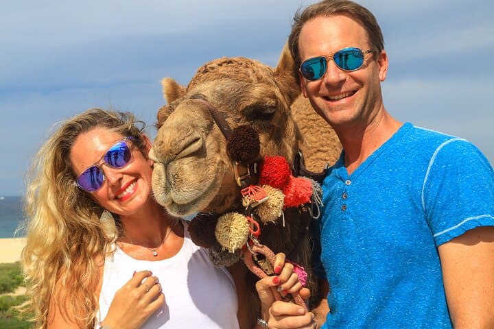 Cabo Camel Ride on El Migriño Beach — 2‑Hour Camel Interaction, Tequila Tasting & Lunch photo 5