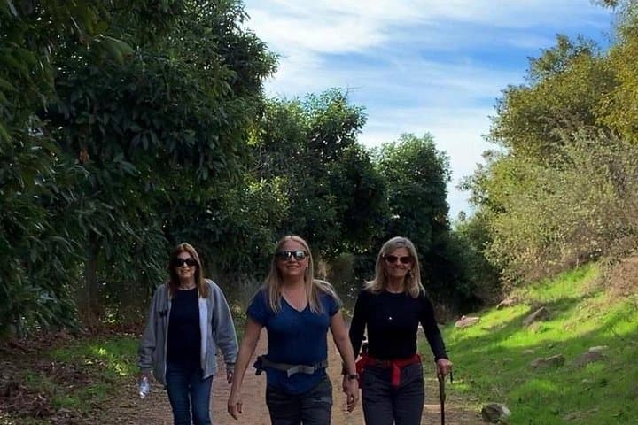 Guided Hiking in Ojai Valley — Los Padres Day Hikes with Local Guides photo 4