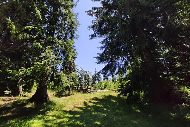 Rhodope Mountains Local Adventures: Truffle Hunts, Kayaking and Mountain Trails