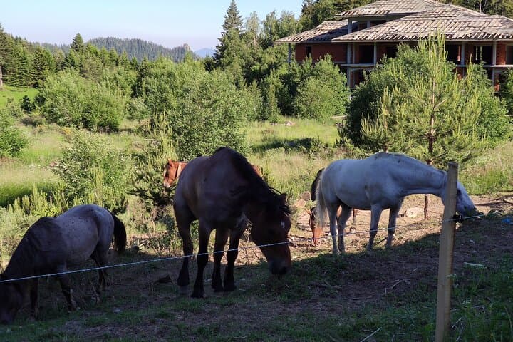 Rhodope Mountains Local Adventures: Truffle Hunts, Kayaking and Mountain Trails photo 2