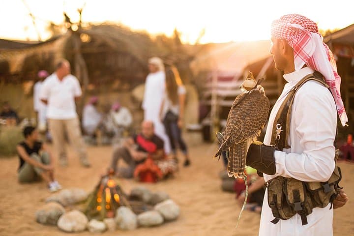 Dubai Red Dunes 4x4 Desert Safari with BBQ Dinner & Cultural Show photo 5