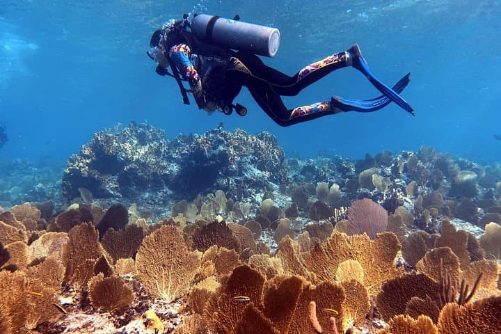 5-Day Catamaran Adventure in the Exumas: Staniel Cay Sailing & Snorkeling photo 5