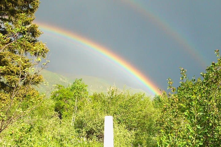 Ute Cemetery Walking Tour in Aspen: Pioneer Graves & Mountain Trail History photo 4