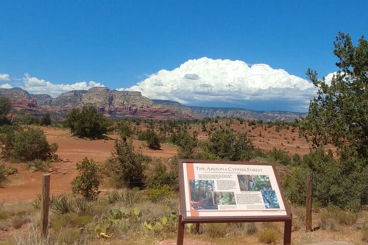 Sedona Vortex Tour: Private 4-Hour Spirit Journey to Bell Rock & Cathedral Rock photo 5