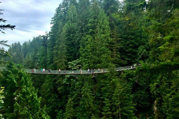 Canyon Lights: Capilano Suspension Bridge & Grouse Mountain Holiday Light Tour photo 6