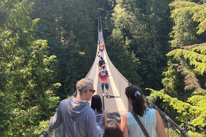 Canyon Lights: Capilano Suspension Bridge & Grouse Mountain Holiday Light Tour photo 5