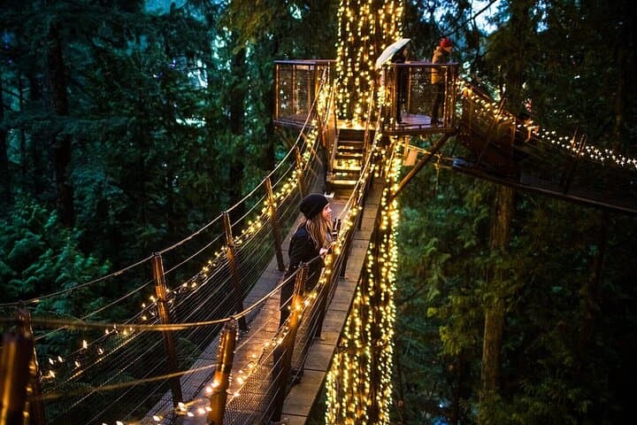 Canyon Lights: Capilano Suspension Bridge & Grouse Mountain Holiday Light Tour photo 3