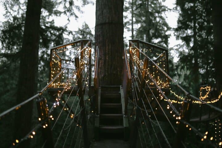 Canyon Lights: Capilano Suspension Bridge & Grouse Mountain Holiday Light Tour photo 4