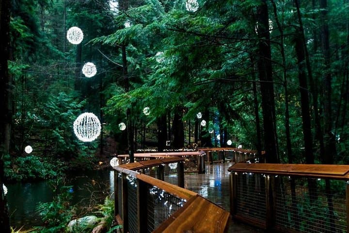 Canyon Lights: Capilano Suspension Bridge & Grouse Mountain Holiday Light Tour photo 2