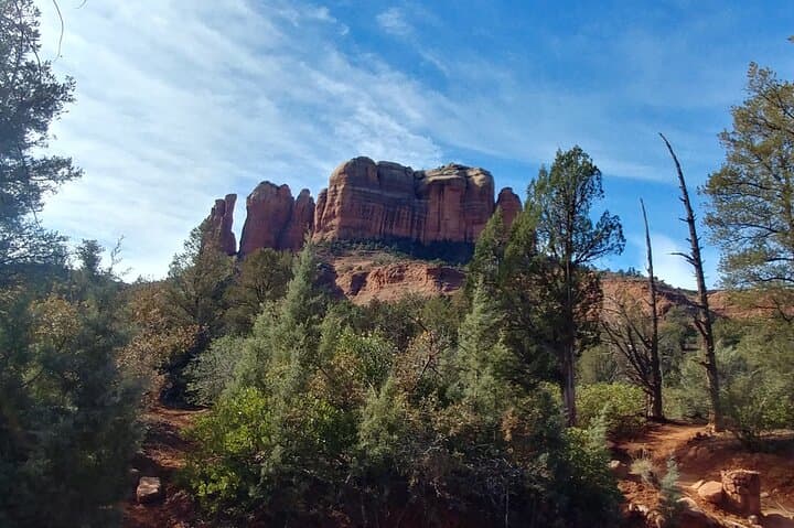 Private 3-Hour Sedona Metaphysical Photography Tour — Flowers & Red Rocks photo 2