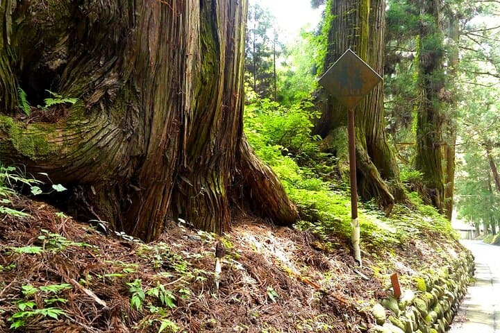 Nikko UNESCO Day Tour: Toshogu Shrine, Kegon Falls & Lake Chuzenji photo 3