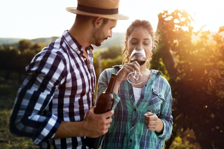 Hunter Valley Wildlife and Wine Tour from Sydney — Luxury Day Trip Guide photo 6