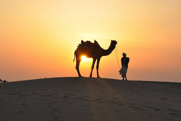 Private Dubai Desert Safari with BBQ Dinner & Live Entertainment photo 4