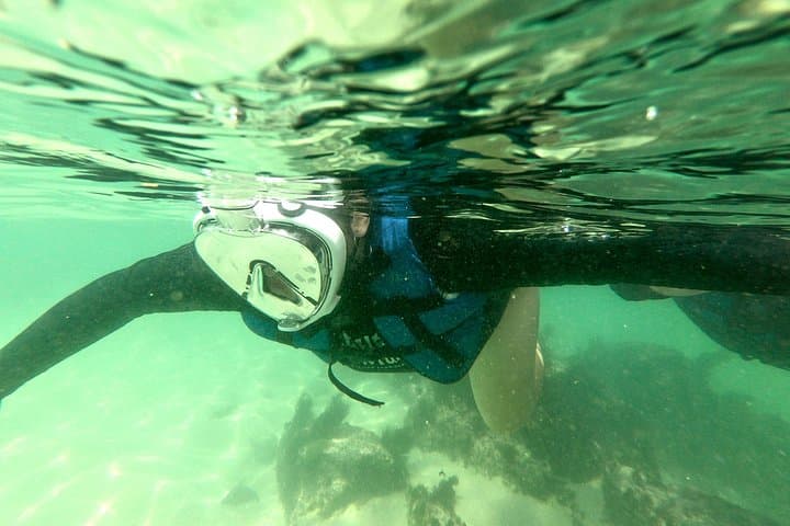 Bombinhas Aqua Adventure: Snorkeling at Praia da Sepultura photo 2