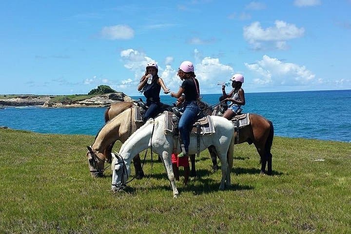Coastal Horseback Ride in St. Lucia — Swim with Horses on Gros Islet Beaches photo 1