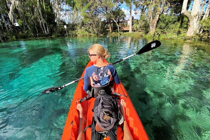Crystal River Kayak Rental: 4-Hour Single Kayak with Manatee Viewing photo 5