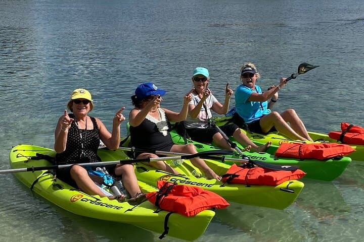 Crystal River Kayak Rental: 4-Hour Single Kayak with Manatee Viewing