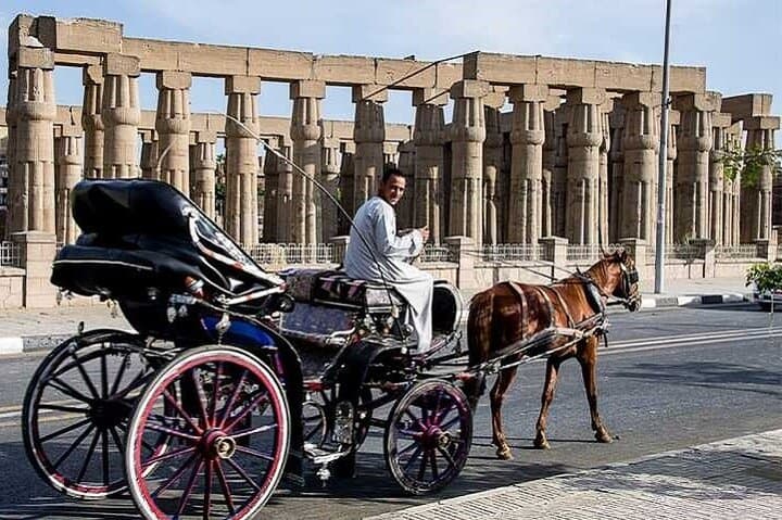 Luxor Horse-Drawn Carriage Tour — Temples, Market Lanes & Nile Corniche photo 2