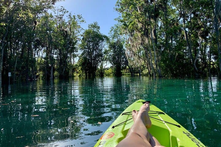 Crystal River Kayak Rental: 4-Hour Single Kayak with Manatee Viewing photo 3