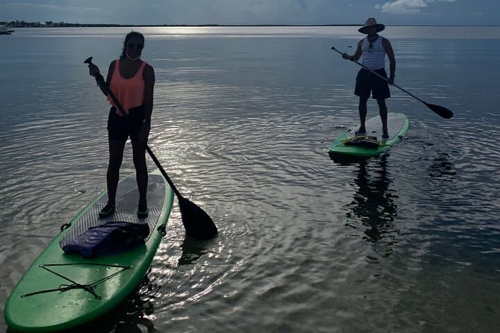 Key Largo 1-Hour Kayak & Paddleboard Rental on Florida Bay