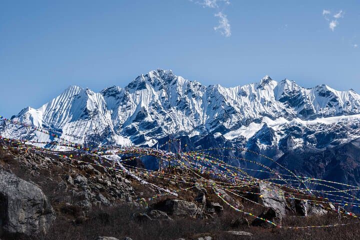 Langtang Valley Trekking: 9-Day Himalayan Trek to Kyanjin Gomba & Tserko Ri