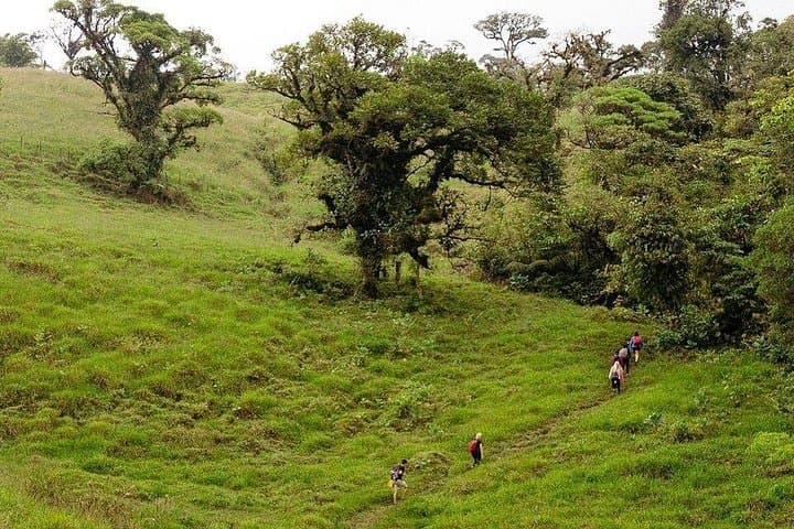 Full-Day Bajos del Toro Waterfall Hike — Costa Rica’s Blue-Turquoise Falls photo 4