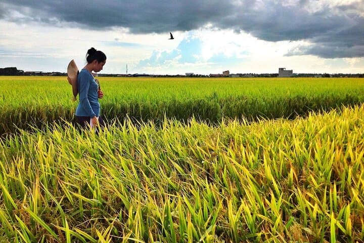 Sekinchan Paddy Fields and Redang Beach Day Tour from Kuala Lumpur photo 4