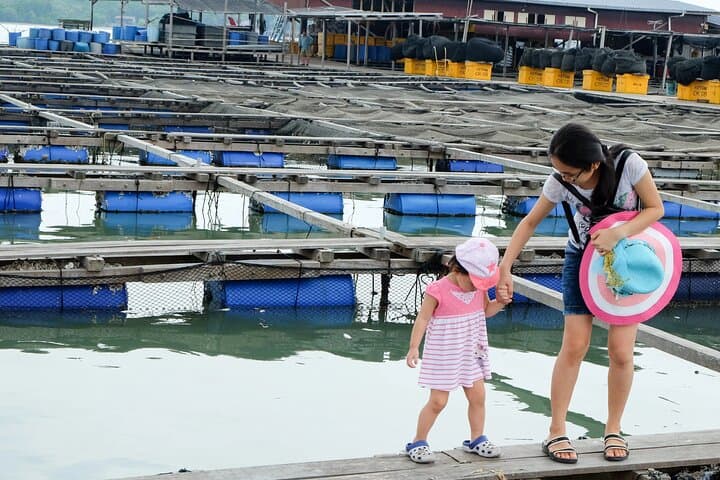 Sekinchan Paddy Fields and Redang Beach Day Tour from Kuala Lumpur photo 6