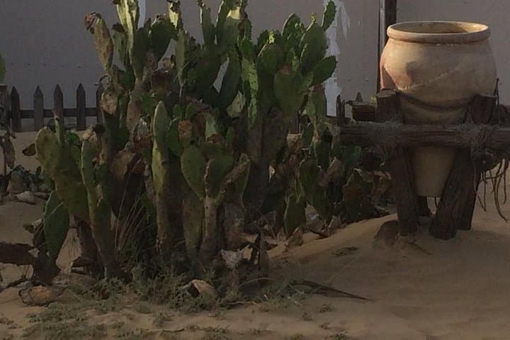 Overnight Dubai Desert Camp & Camel Safari at Majilis Camp photo 3