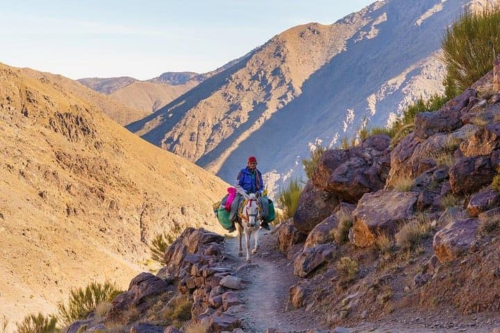 2-Day Atlas Mountains Trek from Marrakech: Berber Villages & High Atlas Passes photo 4