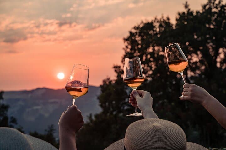 Sunset Wine Tasting on Malaštica Hill — Vineyard Views Near Dubrovnik