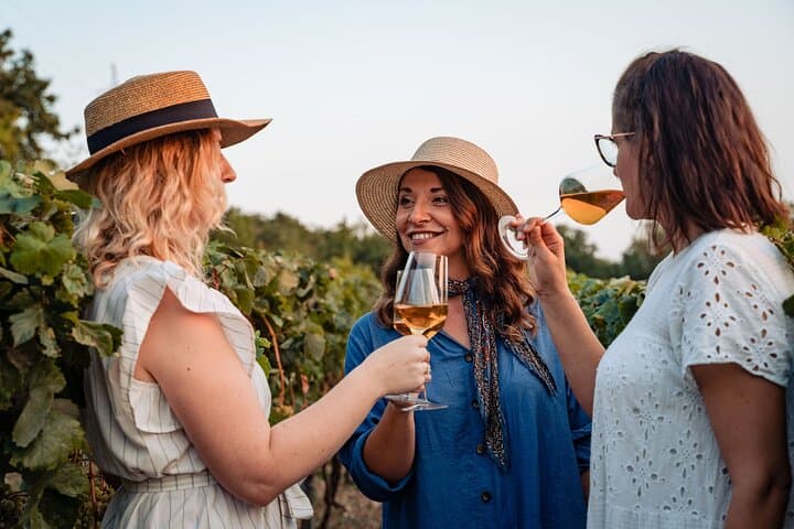 Sunset Wine Tasting on Malaštica Hill — Vineyard Views Near Dubrovnik photo 4