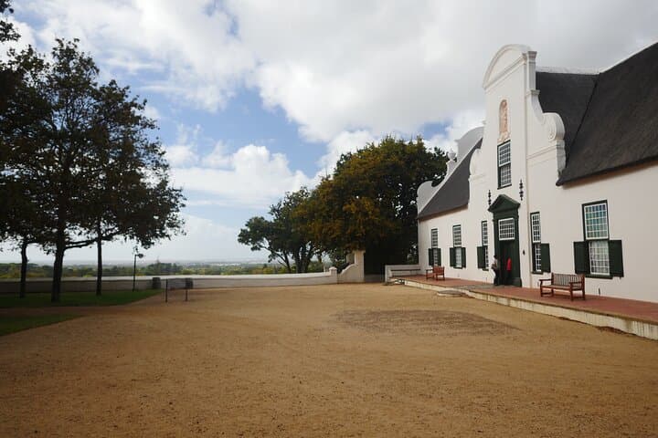 Full-Day Constantia Wine Tour: Tastings, Cellars & Table Mountain Views