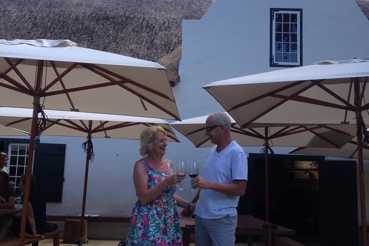 Full-Day Constantia Wine Tour: Tastings, Cellars & Table Mountain Views photo 4