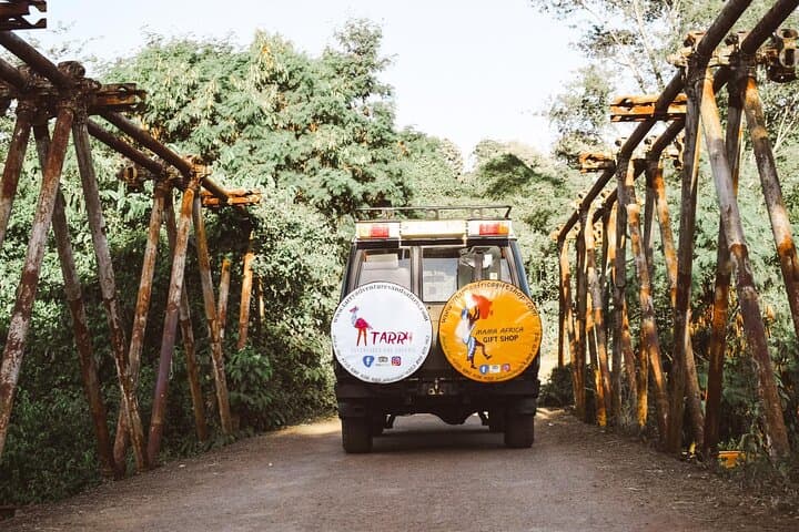Full-Day Safari: Lake Manyara, Tarangire & Arusha National Park Day Trip photo 3