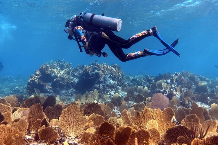 6-Day Catamaran Sailing Experience in the Exumas, Bahamas photo 5
