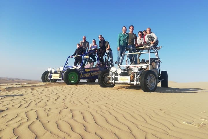 Paracas Sand Dune Buggy Tour: Half-Day Adrenaline in the Paracas Reserve photo 3