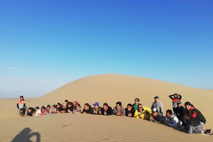 Paracas Sand Dune Buggy Tour: Half-Day Adrenaline in the Paracas Reserve photo 5