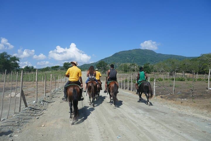 Mountain Horseback Riding in Puerto Plata: 2-Hour Guided Trail Ride with Photo Stop photo 4