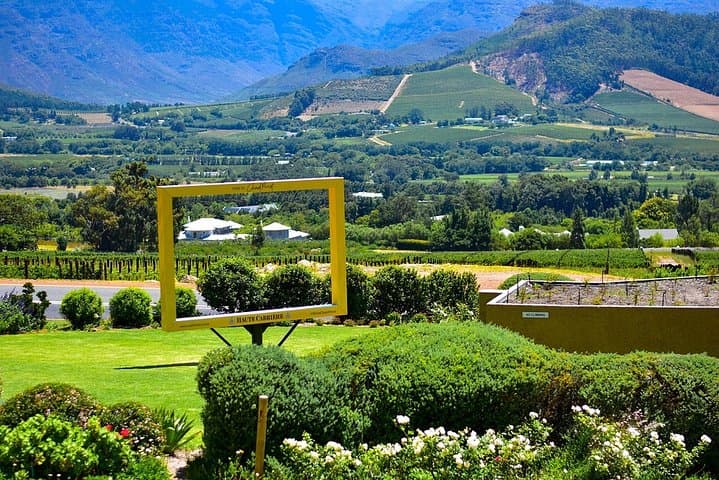 Garden Route Private Tour with Addo & Cape Highlights — 10-Day South Africa Adventure photo 3