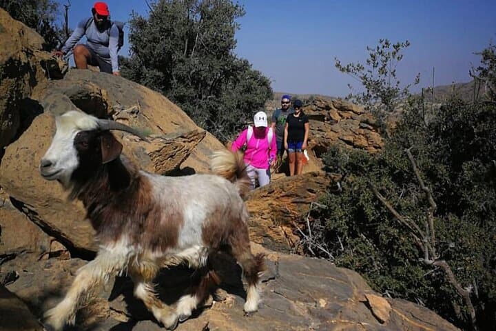 Village Walk on Jebel Al Akhdar: Saiq Plateau Terraces & Rose Gardens photo 2