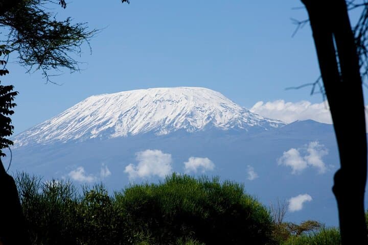 6-Day Kilimanjaro Trek: Marangu (Coca-Cola) Route to Uhuru Peak photo 4