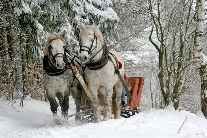Zakopane Sleigh Ride & Bonfire Day Trip from Krakow — Winter Valley Excursion