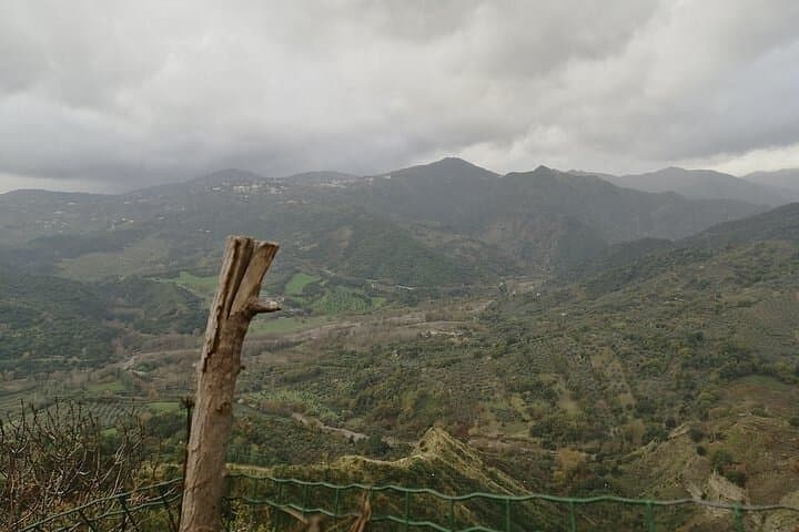 Etna Convertible Panorama: Day Trip with Olive Oil & Honey Tasting photo 6