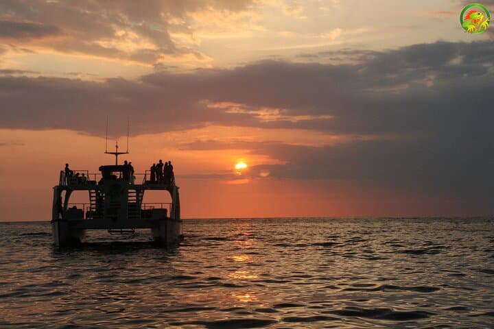 Manuel Antonio Catamaran Tour — Snorkel, Wildlife & Coastal Views photo 6