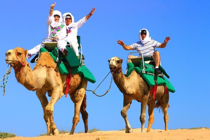 Cabo Camel and Safari Ride: Beach Camel Tour with Tequila Tasting