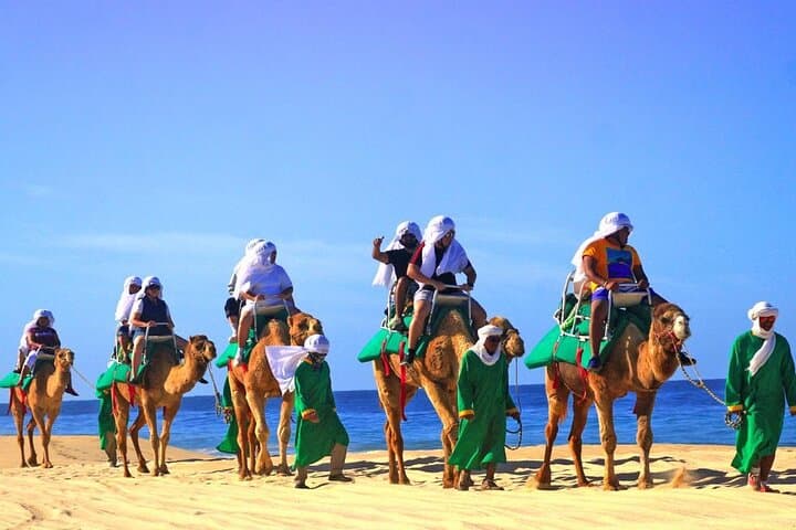 Cabo Camel and Safari Ride: Beach Camel Tour with Tequila Tasting photo 4