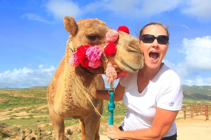 Cabo Camel and Safari Ride: Beach Camel Tour with Tequila Tasting photo 5