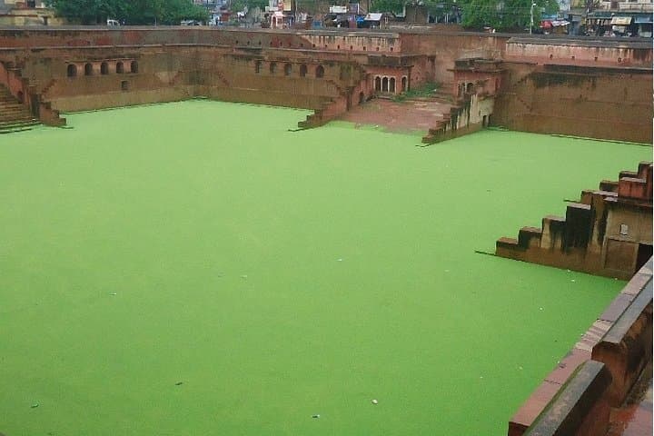 Mathura & Vrindavan Day Trip from Delhi — Temples, Krishna Janmabhoomi & Practical Tips photo 6